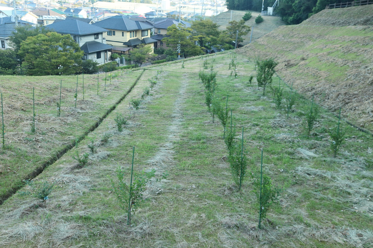 2019年9月10日