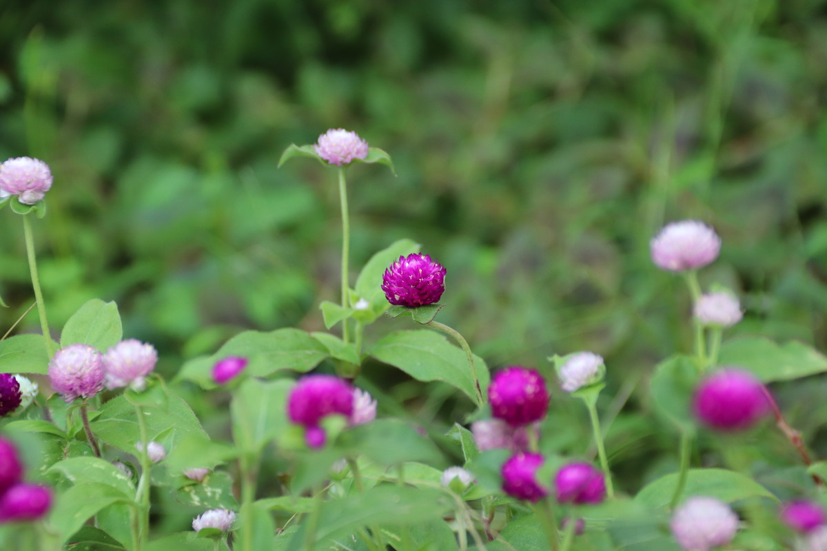2019年9月10日
