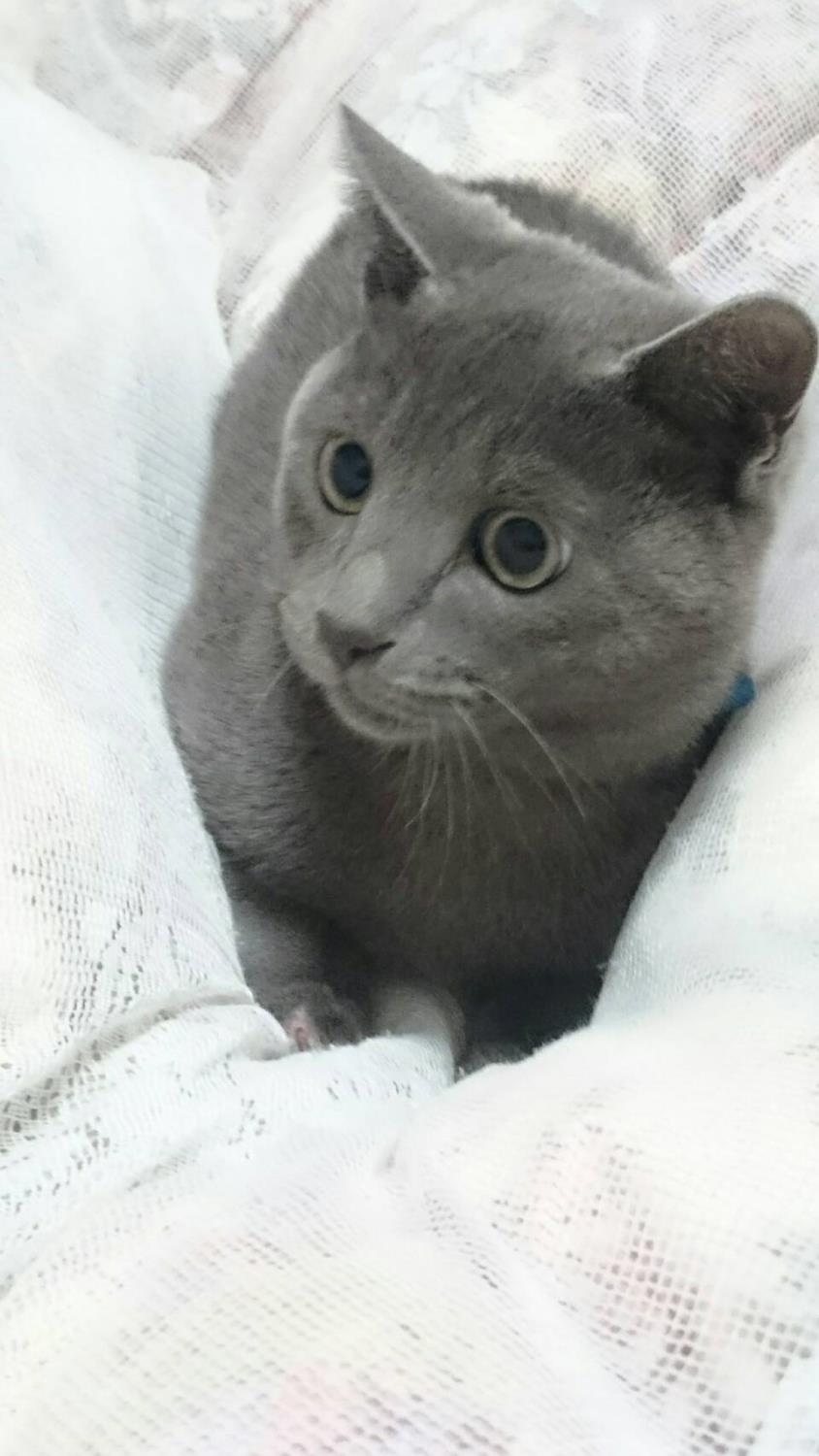 上田テク