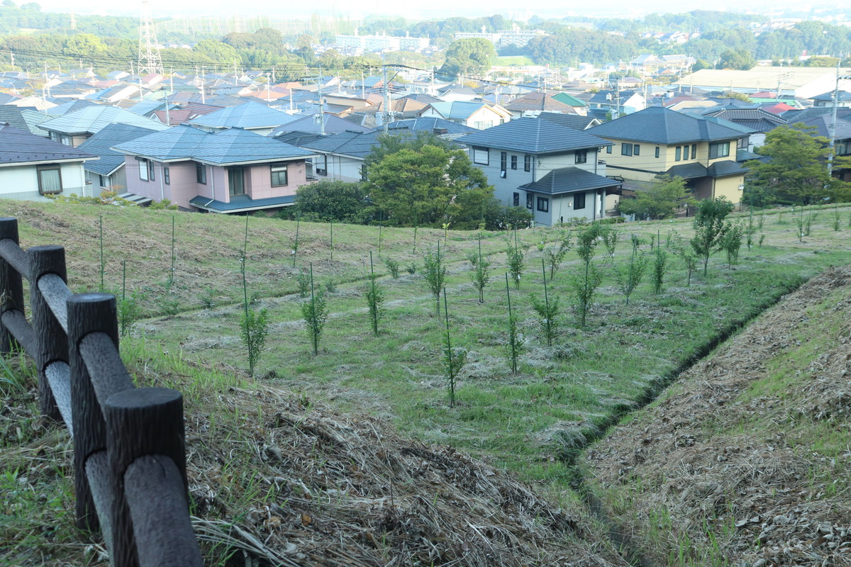 2019年9月10日