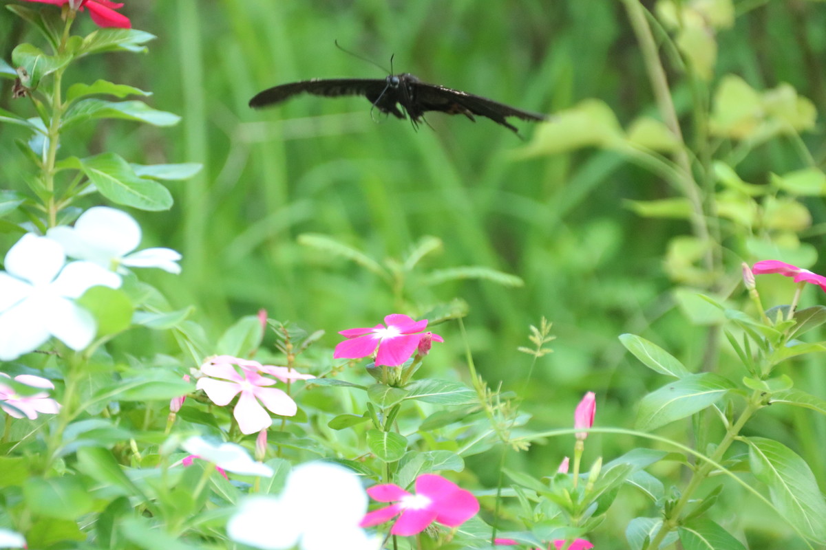2019年9月10日