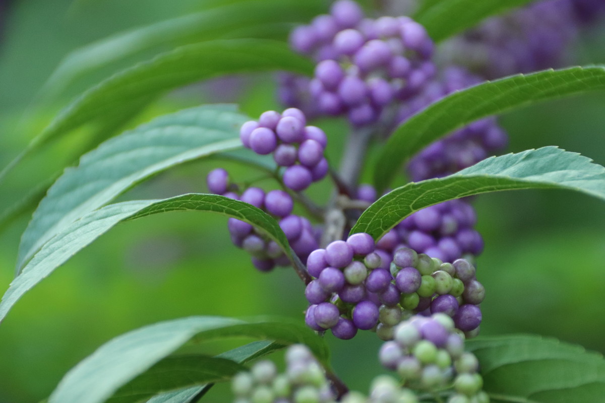 2019年9月10日