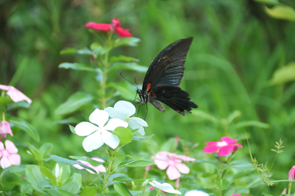 2019年9月10日